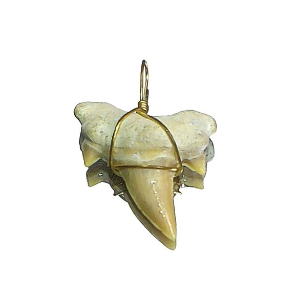 Vintage Fossilized Mako Shark Tooth Pendant Wrapped In Bronze Wire - Picture 1 of 5